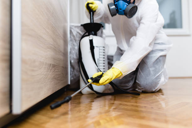Best Mosquito Control Services  in Union City, CA