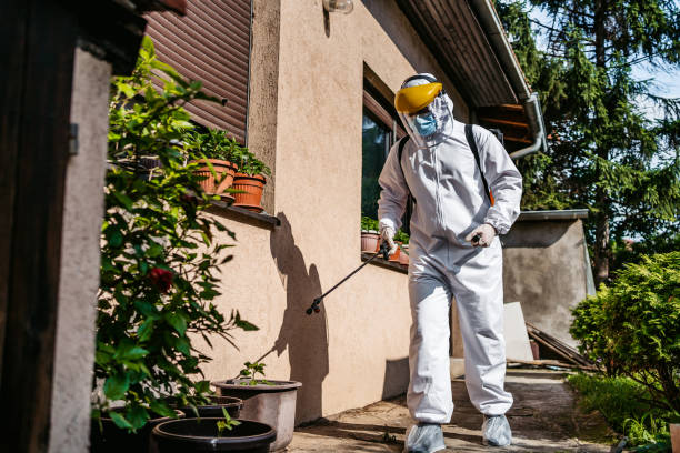 Best Bed Bug Extermination  in Union City, CA