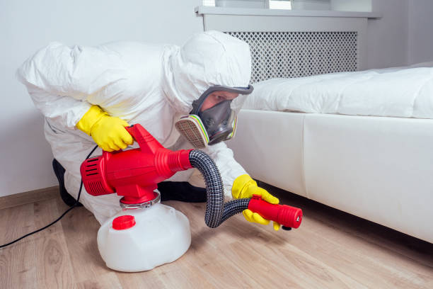 Best Emergency Pest Control  in Union City, CA