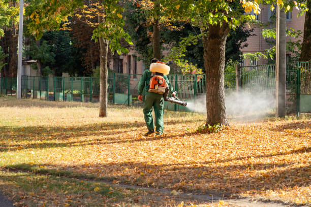 Best Termite Control Services  in Union City, CA
