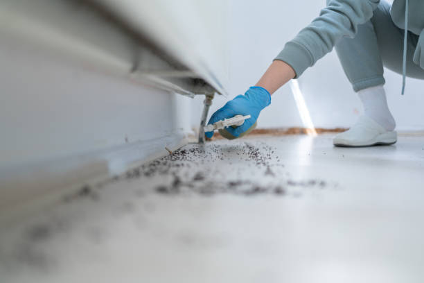 Best Residential Pest Control  in Union City, CA