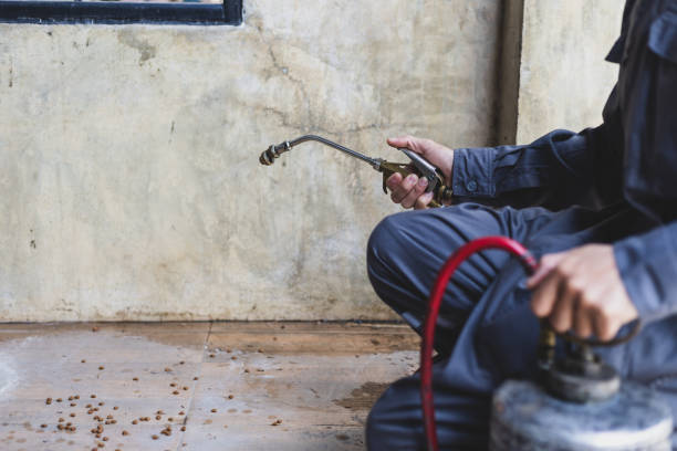 Best Affordable Pest Control Services  in Union City, CA